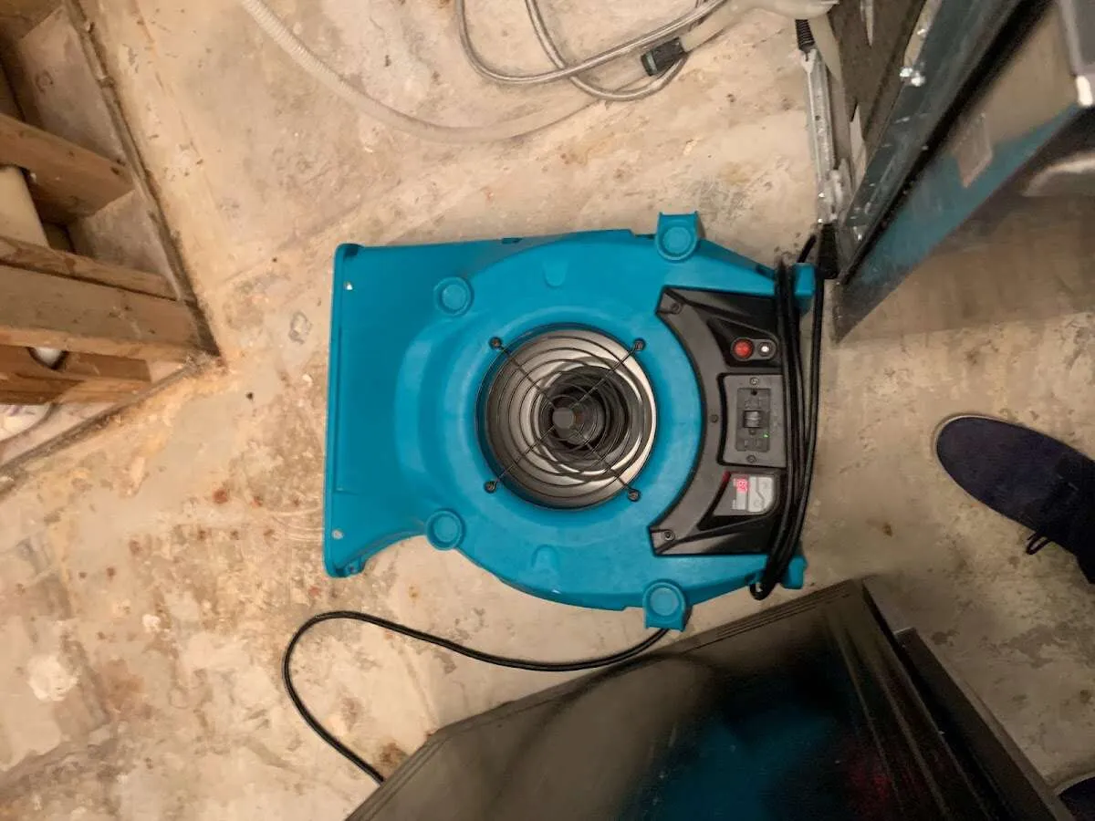 Air mover drying equipment for Mold Remediation & Removal in Boxborough